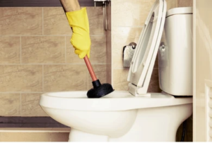 Unclog Your Toilet Drain