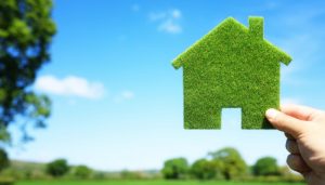 Plano and Frisco TX homes